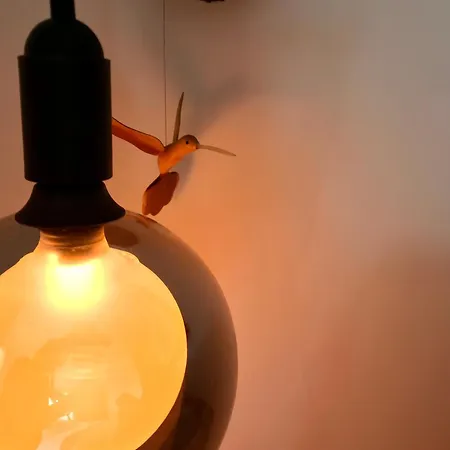 La Cubanita 2* Kojsko