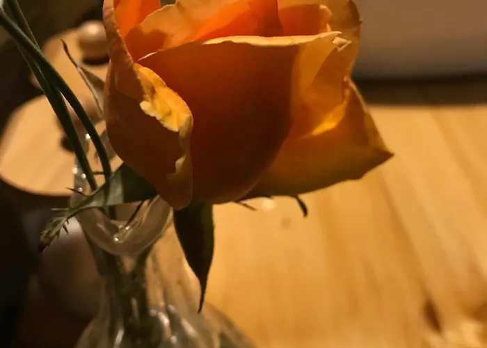 La Cubanita Frühstückspension Kojsko