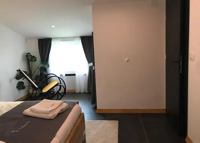 Couette-café La Cubanita Kojsko