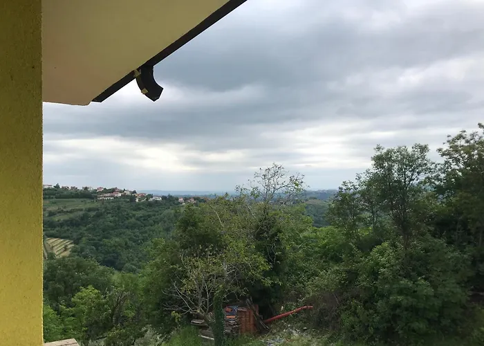 La Cubanita Couette-café Kojsko