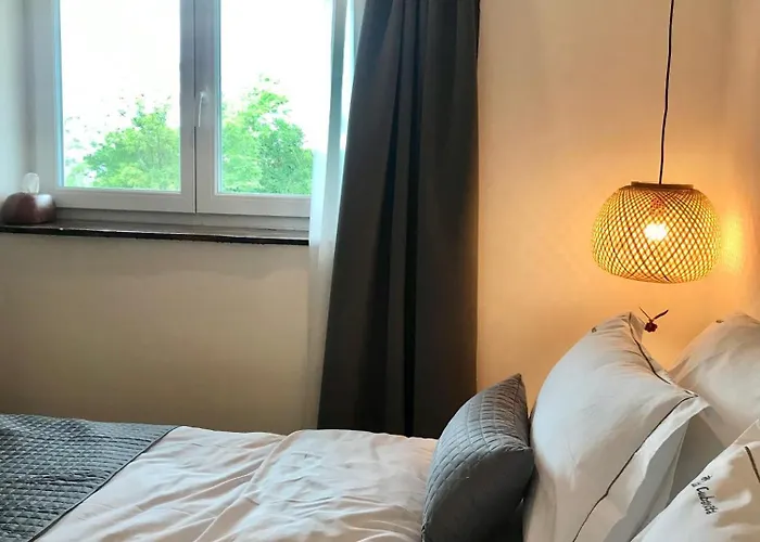 Couette-café La Cubanita Kojsko