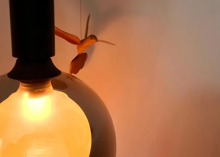 La Cubanita 2* Kojsko